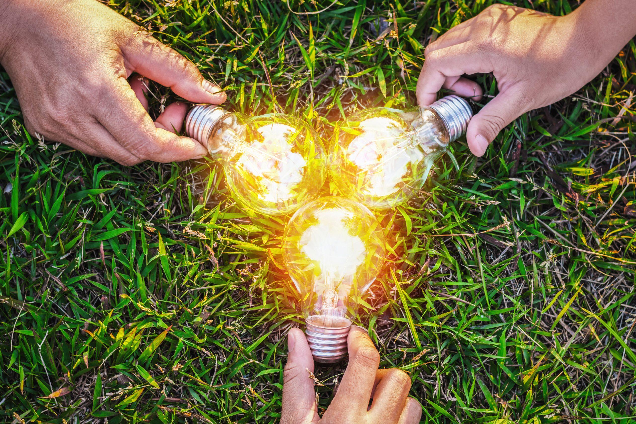 group-hand-holding-lightbulb-with-sunset-grass-concept-idea-solar-energy_bea-scaled-1